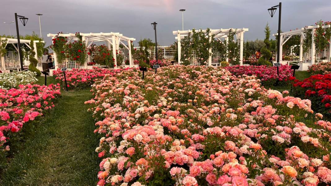 Konya’nın günbatımında masalsı manzara sunan parkı 36